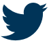 Twitter Link