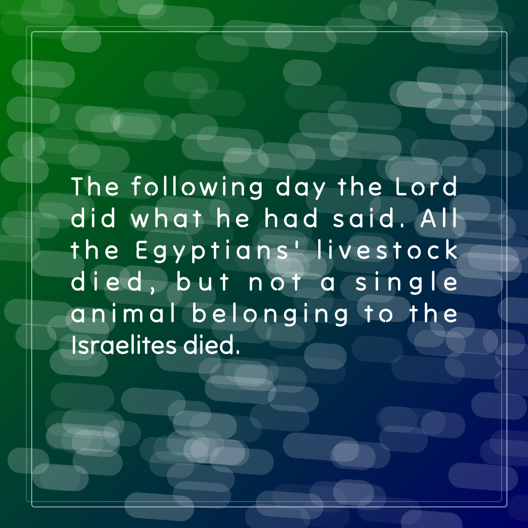 Verse of the Day Image for 2026-07-06. Scripture reference Exodus 9: 6